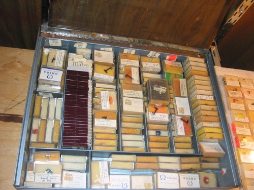 needles without the cartridge