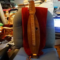 4 Stringed Instrument