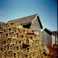 Lobster Traps